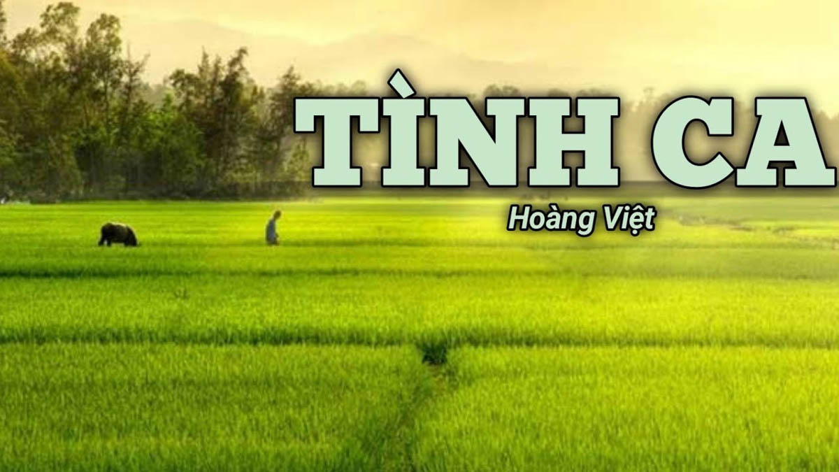 Tình Ca – Hoàng Việt