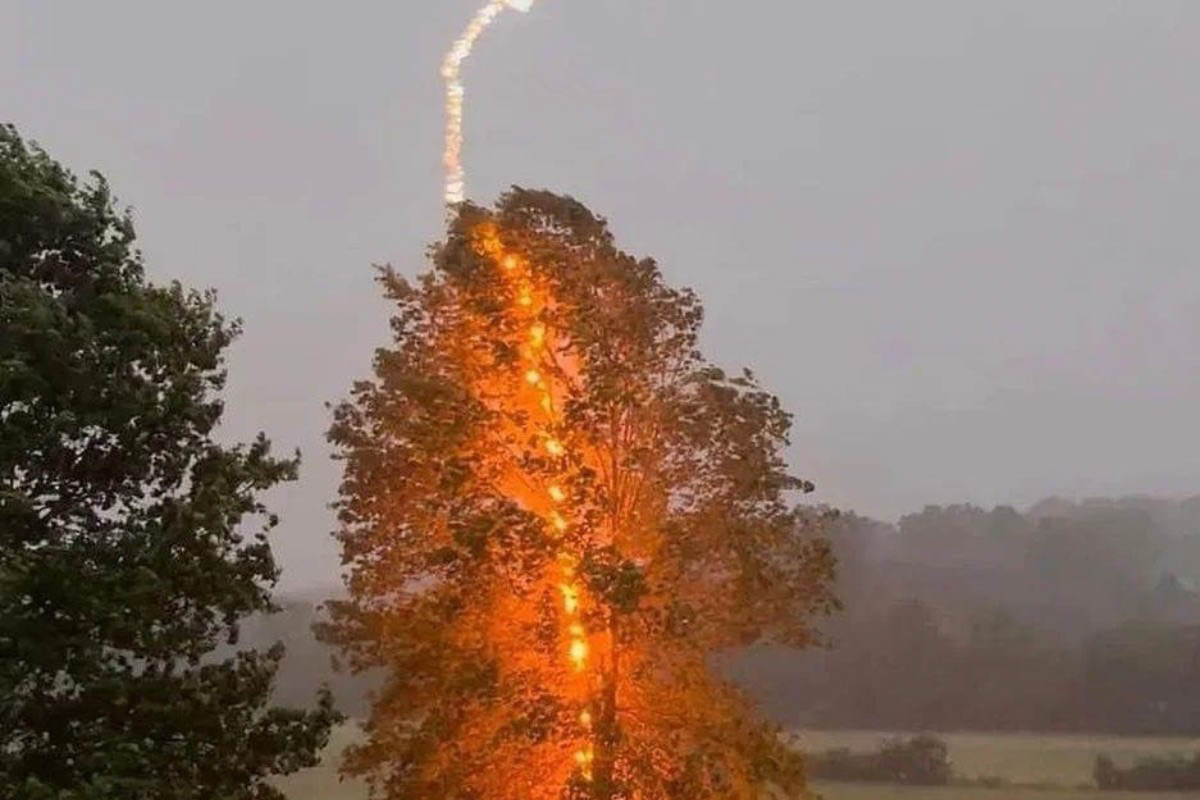 Sơ Cứu Người Bị Sét Đánh: Hàndh Động Nhanh Chóng Cứu Mạng