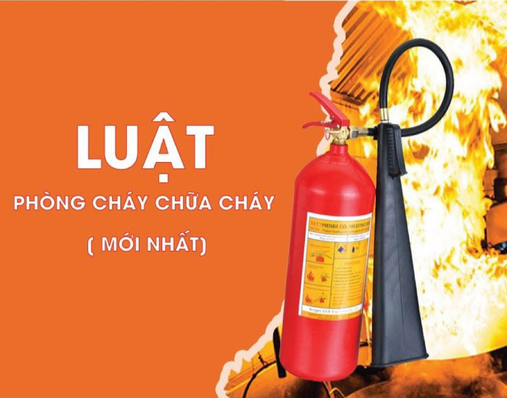 Luật Số 55/2024/QH15