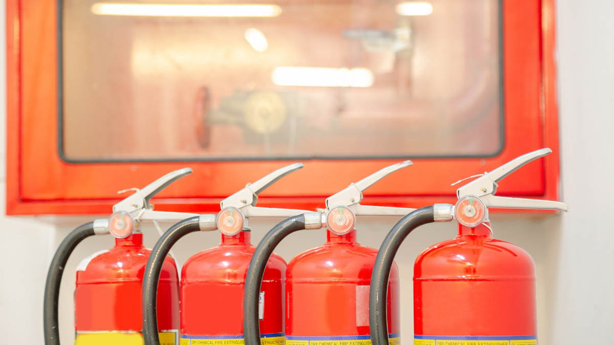 Trách Nhiệm Cụ Thể Của Tổ Chức, Cá Nhân Nghị định 105/2025/NĐ-CP