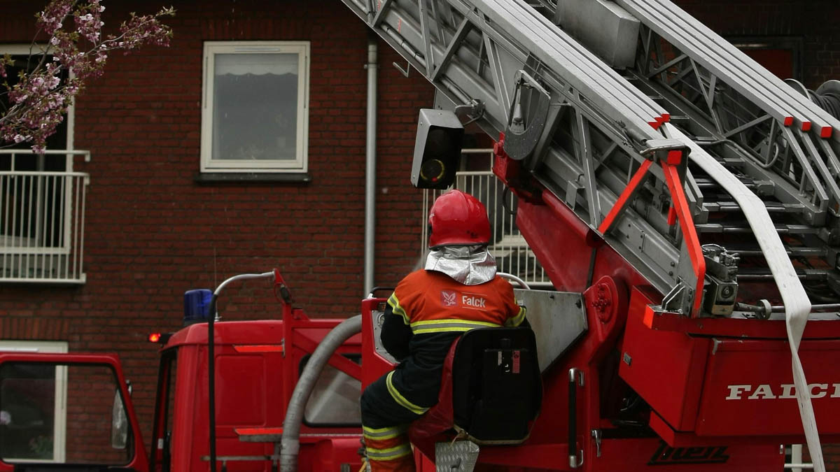 Các Hình thức xử phạt và Biện pháp khắc phục hậu quả