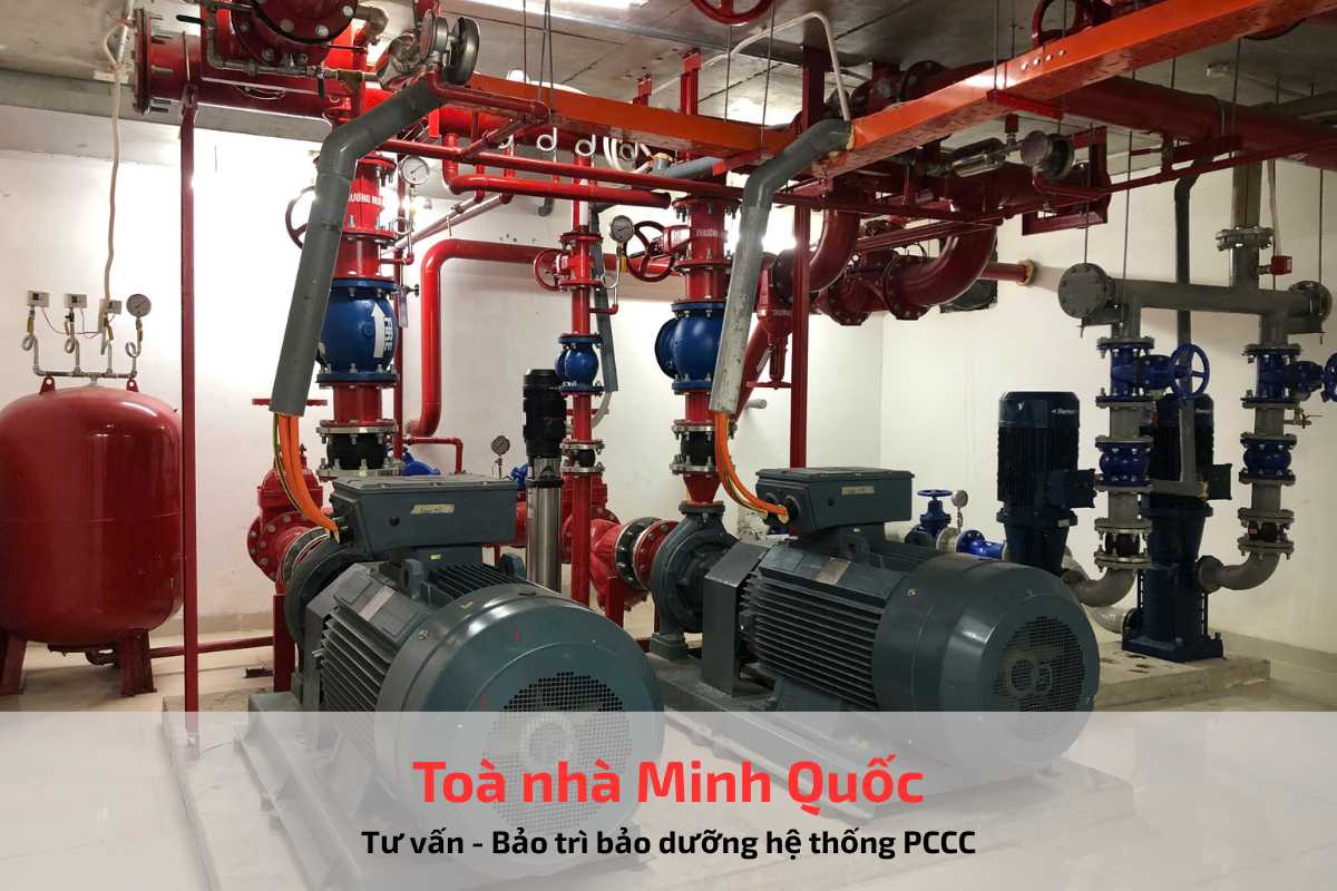 Quy trình làm việc của Công ty TNHH Phúc Bảo An Holdings